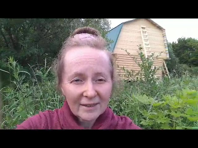 Видео — Отзыв клиента о дачном домике 5 на 5