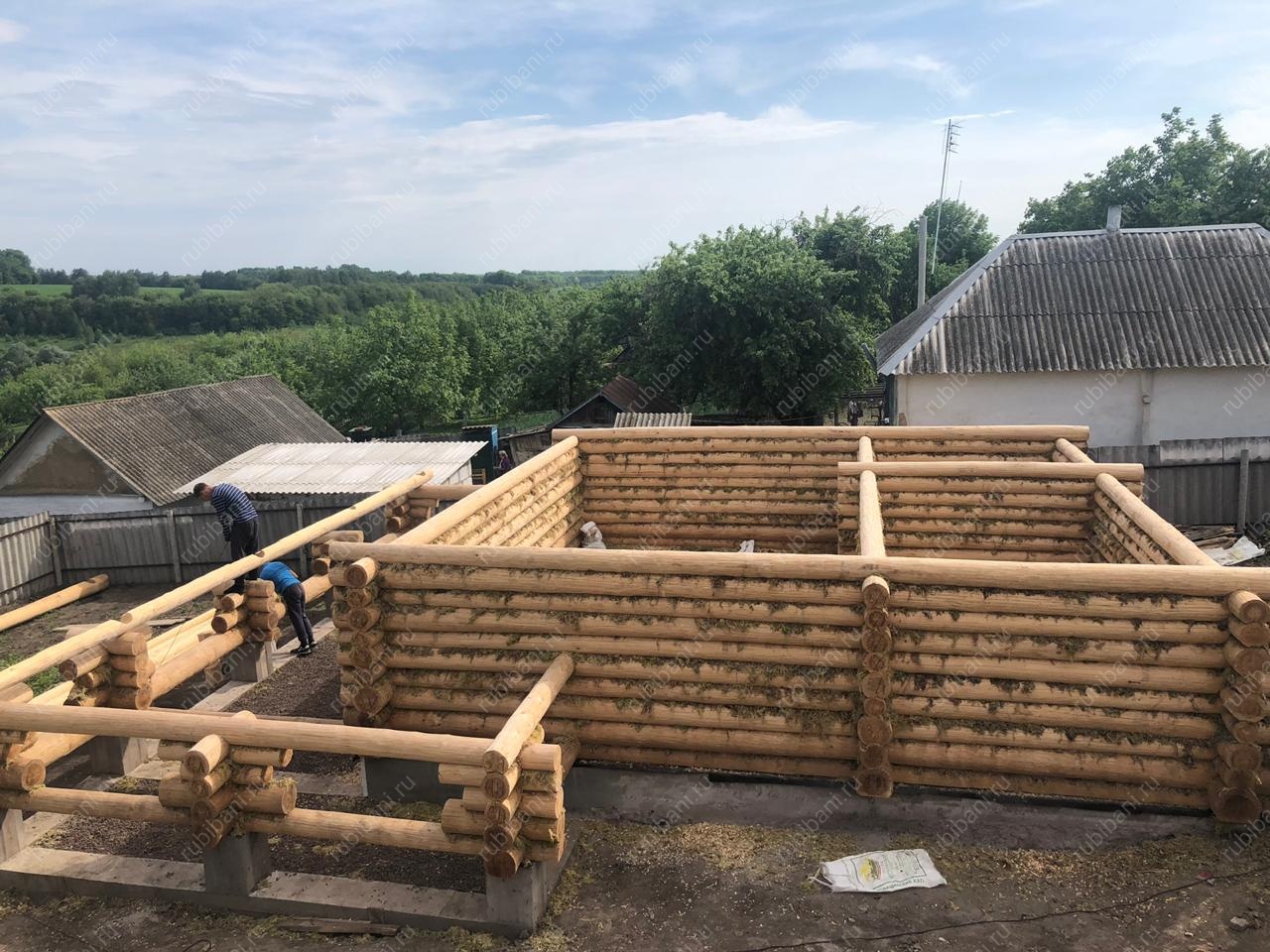 Дом-баня 8 на 8 сруб в чашу — фото 9 Дом-баня 8 на 8 сруб в чашу — фото 9